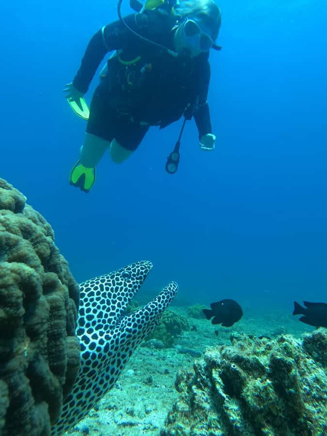 Try scuba Diving Tours To Daymaniyat Islands. - The 25-minute boat ride to the protected Daymaniyat Islands