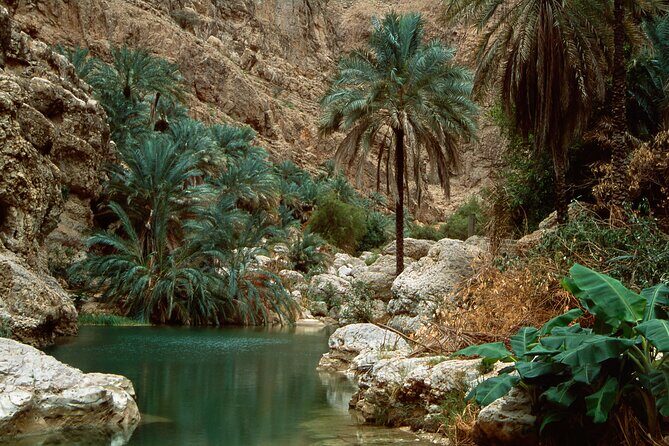 Wadi Shab and Bimmah Sinkhole Group Full Day Tour - Muscat logistics: pickup, the 9-hour rhythm, and what to expect in the vehicle