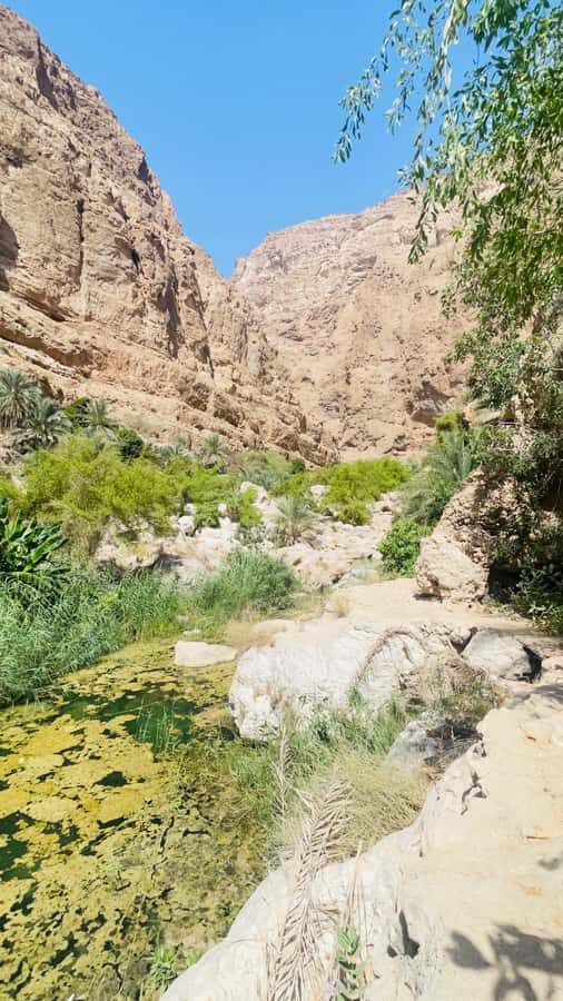 Wadi Shab Parking Meet the Local Guide for Self drivers - Swimming time in turquoise pools (and how to enjoy it without stress)