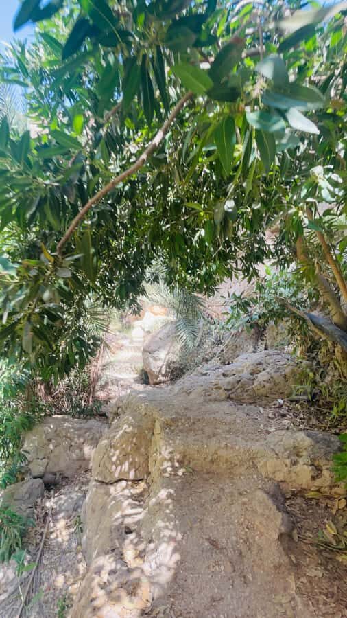 Wadi Shab Parking Meet the Local Guide for Self drivers - The cave waterfall moment is the reason most people come