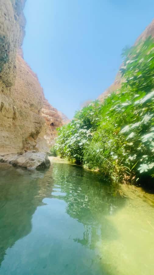 Wadi Shab Parking Meet the Local Guide for Self drivers - Price and value: is $30 worth it?