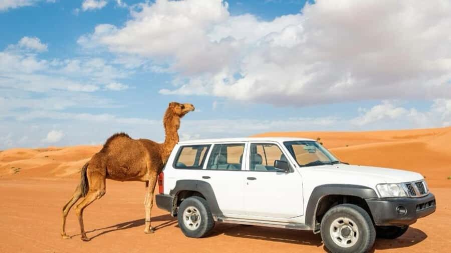 Wahiba Sand and Wadi Bani Khalid Guided Group Tour - Muscat pickup, then Wadi Banī Khālid for the swim stop