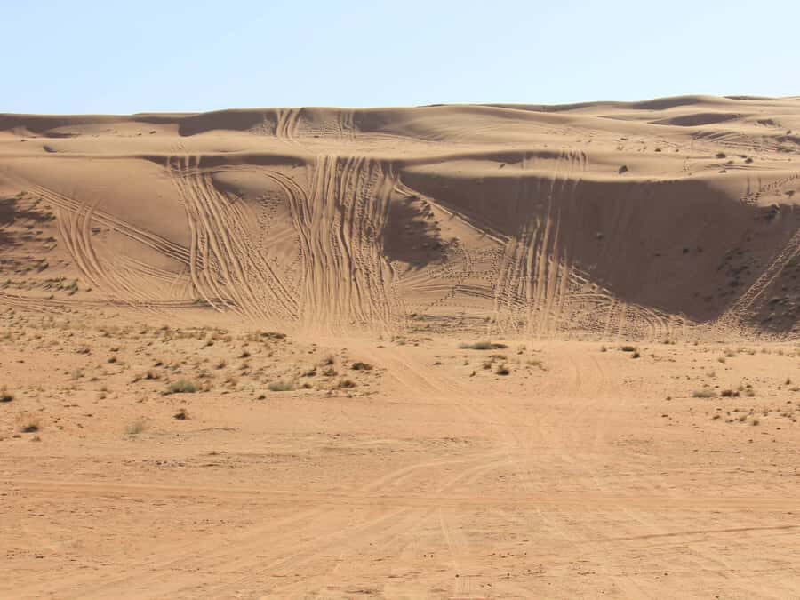 Wahiba Sands and Wadi Bani Khalid Full-Day Tour from Muscat - Wahiba Sands: dune-bashing that’s fun, not for everyone