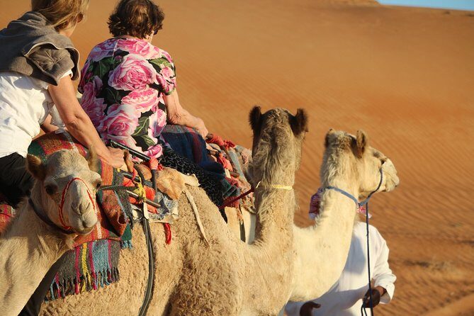 Wahiba Sands Safari with Wadi swimming and Camelride - Wahiba Sands camel ride: a short time that feels like a lot