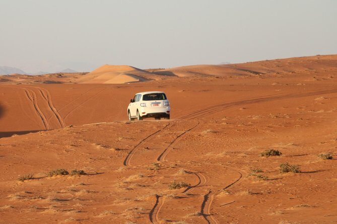 Wahiba Sands Safari with Wadi swimming and Camelride - Price and value: is $265.60 a fair deal?