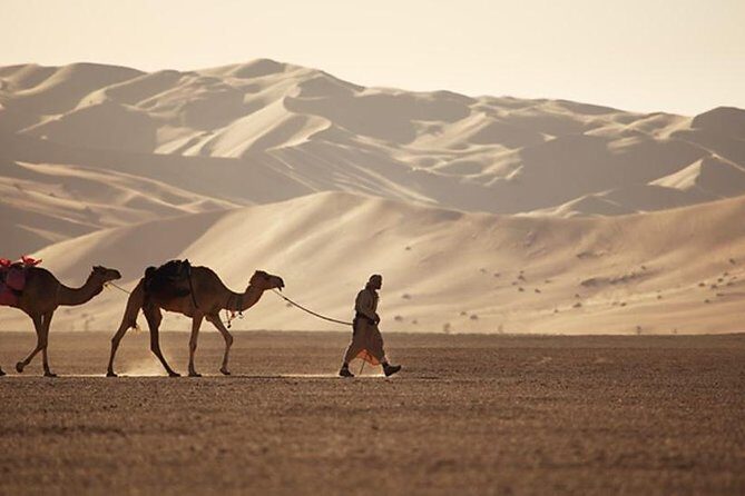 Wahiba Sands&Wadi Bani Khalid desert Safari(Muscat tours) : Private tours - Desert dune driving in Wahiba Sands, from golden to darker dunes