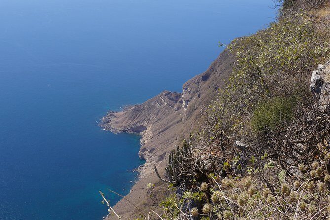 West Coast Mountains and Beaches (Fazayah beach + Shaat cliff) - Price and Value: How $195 Works for a Private 8-Hour Tour