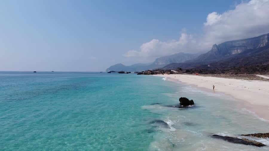 West Salalah Highlights: Coastal Wonders & Scenic Views - Frankincense tree groves: more than a quick photo stop