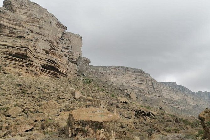 Where Sea Meets Rock: A Scenic Journey to West Salalah’s Shores - Pickup, 4WD, and the pacing you’ll feel