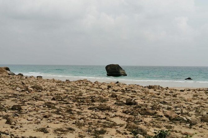 Where Sea Meets Rock: A Scenic Journey to West Salalah’s Shores - Price and value: what you’re really paying for